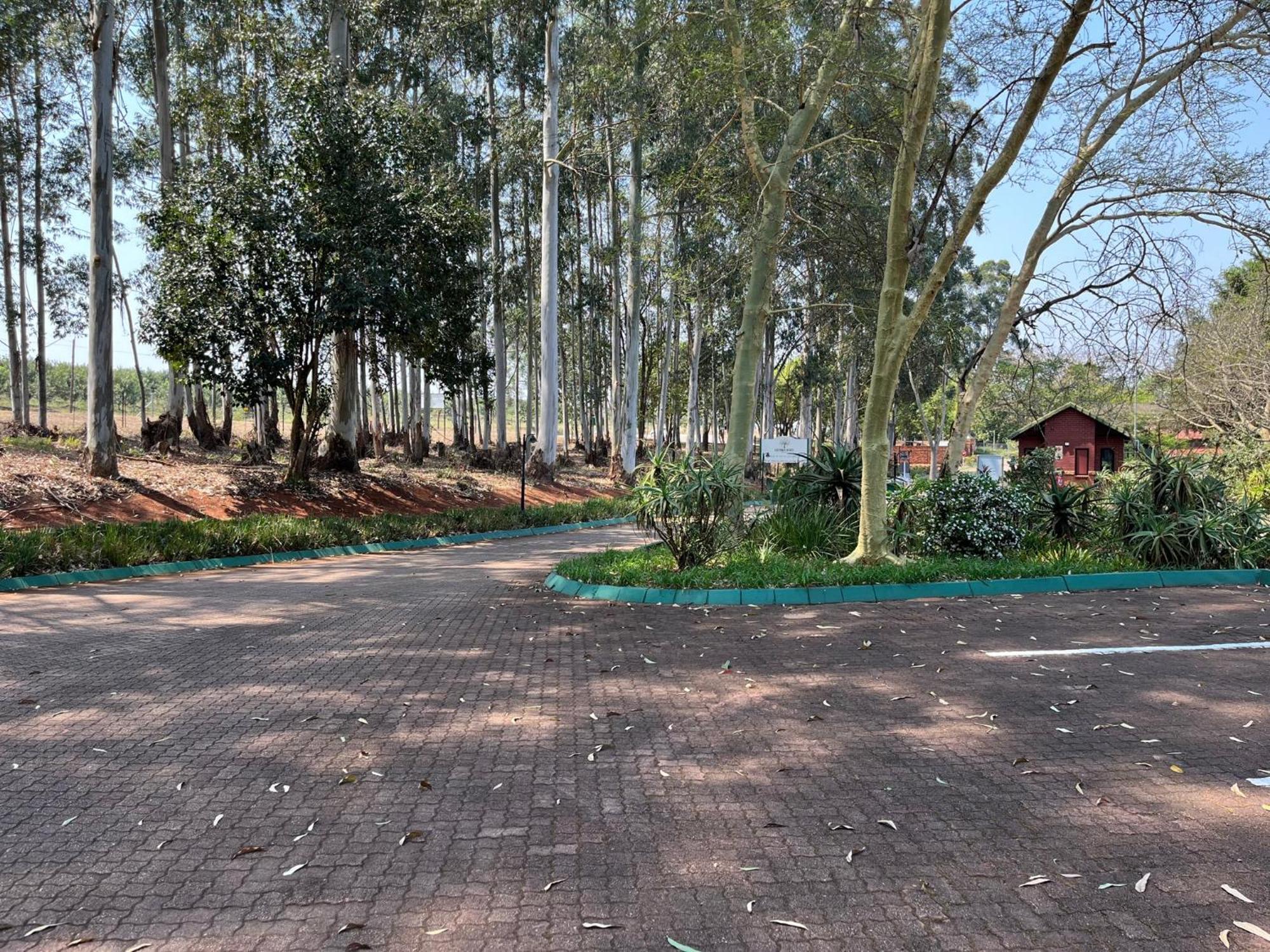 Thyme Inn On Greenway White River Ngoại thất bức ảnh